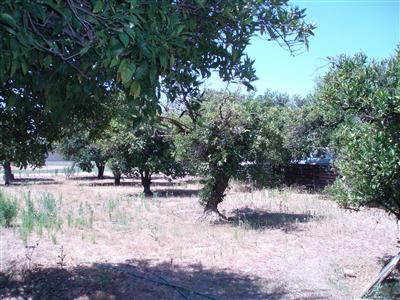 585 I Manning Avenue Reedley, CA 93654 - Photo 3 of 3