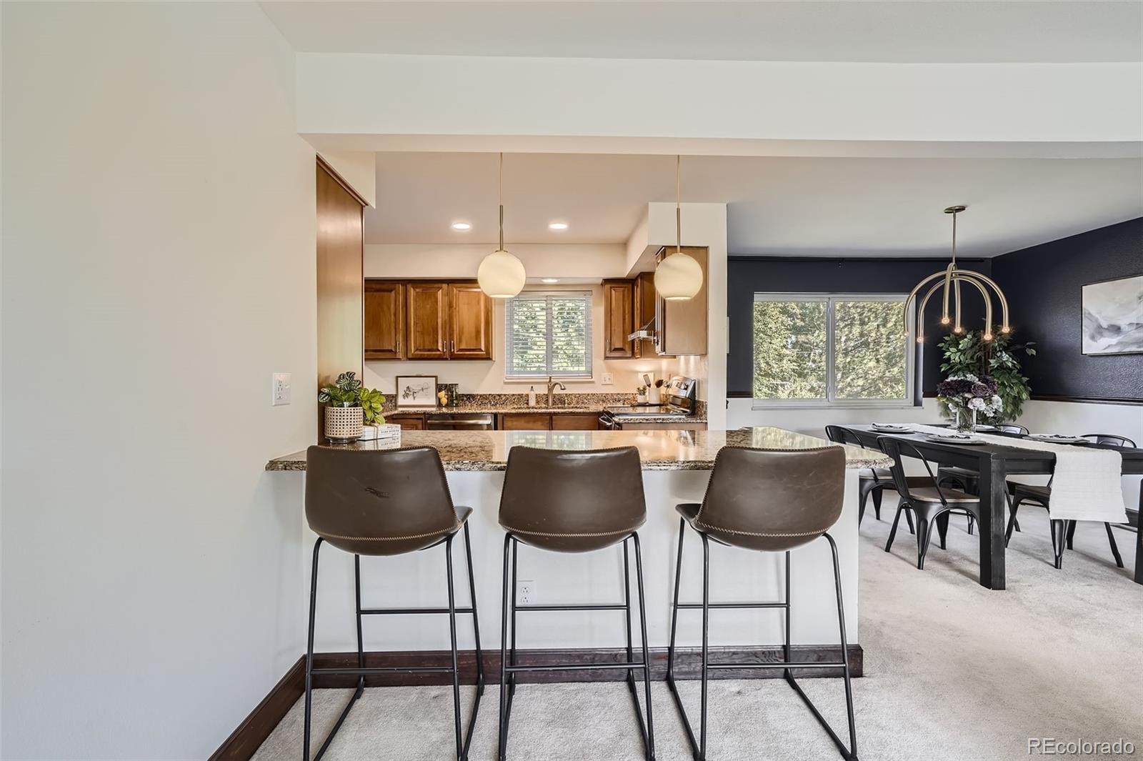 4674 South Raleigh Street Denver, CO 80236 - Photo 11 of 28 Gallery Image 11