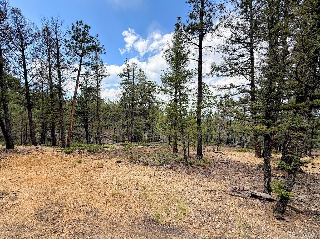 1789 Bellows Road Hartsel, CO 80449 - Photo 19 of 21