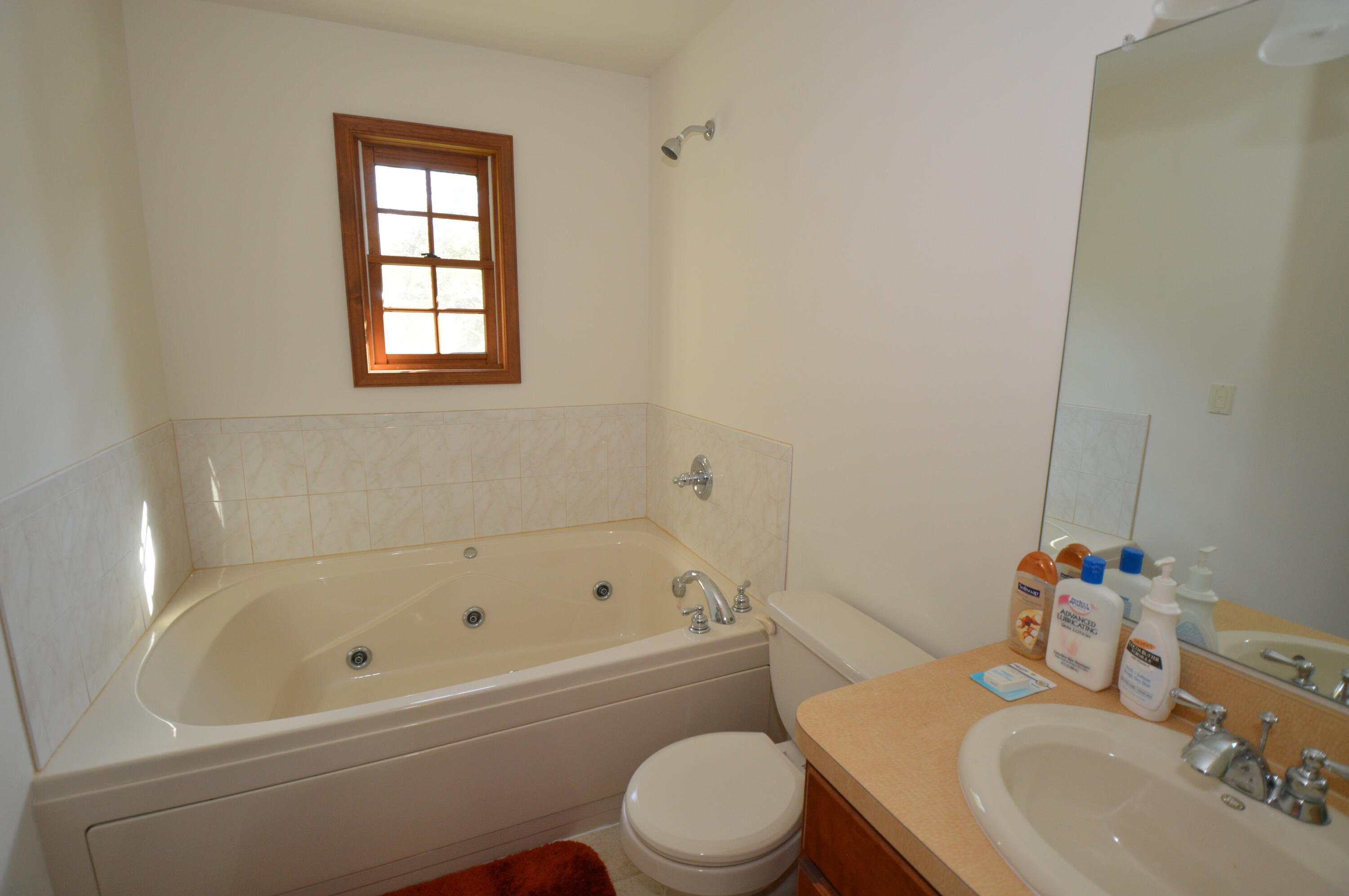 141 Fergus Way Tobyhanna, PA 18466 - Photo 30 of 34 Primary bath