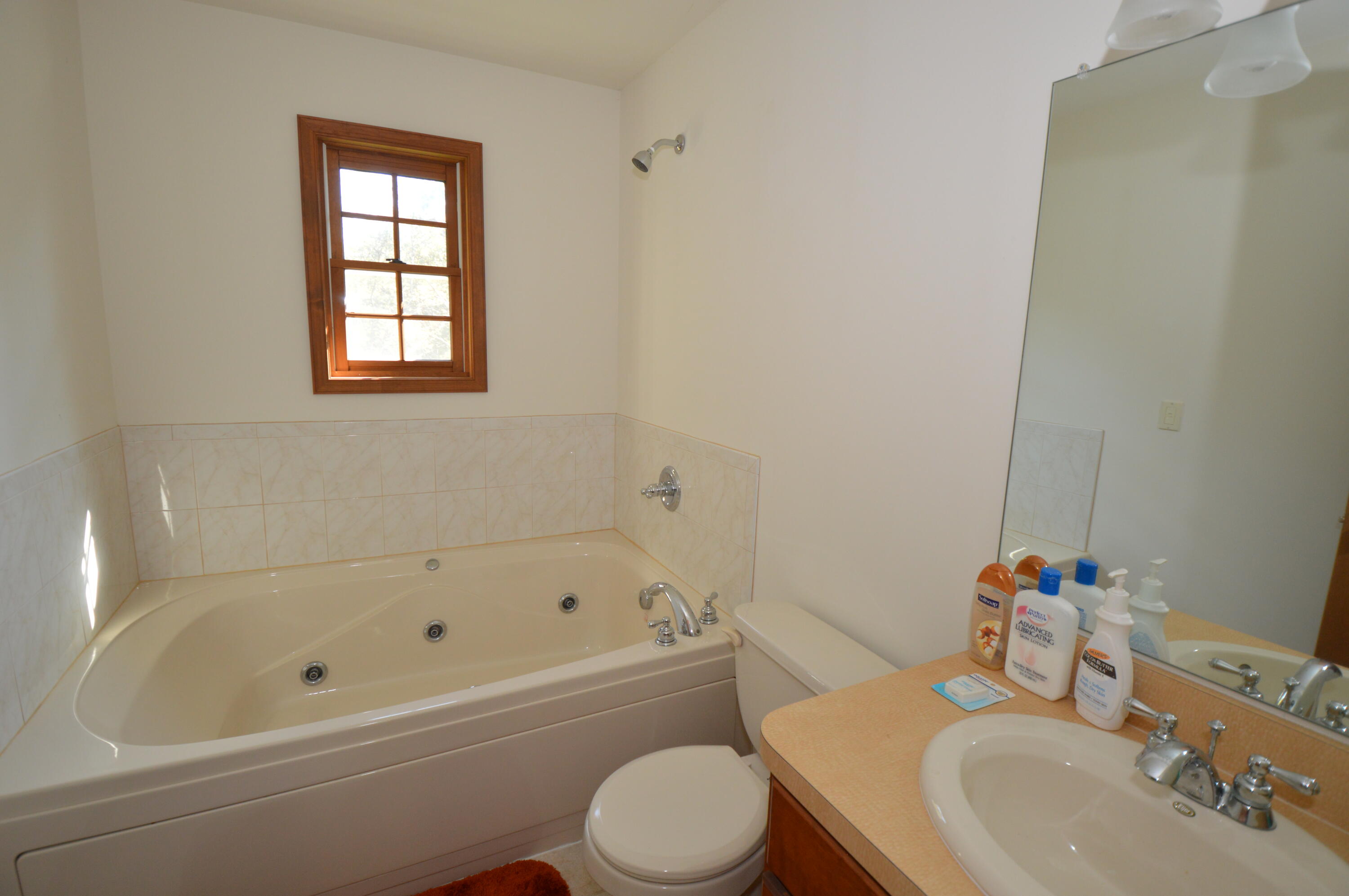 141 Fergus Way Tobyhanna, PA 18466 - Photo 31 of 34 Primary bath