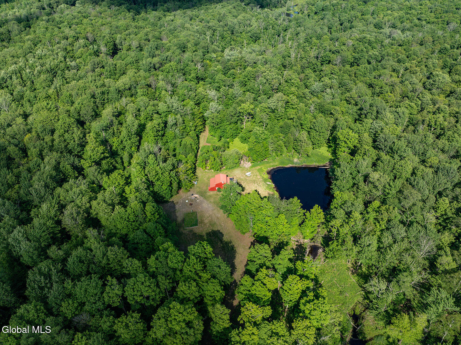 269 Federal City Road Broome, NY 12469 - Photo 7 of 43 DJI_0775