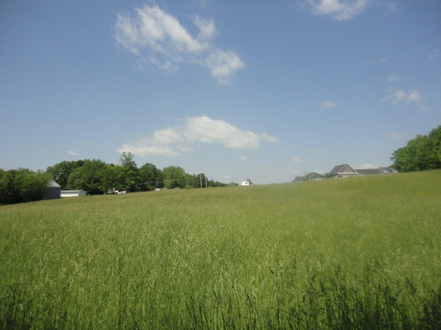 4 (Copy)