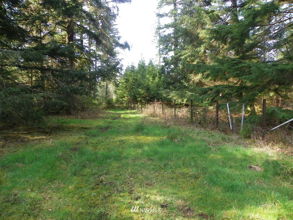 0 North Glenn Road Montesano, WA 98563 - Photo 14 of 15 Gallery Image 14