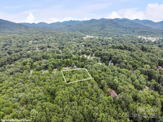 a view of a lush green field with mountains in the background