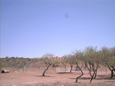 2751 North Cascabel Road Benson, AZ 85602 - Photo 4 of 5