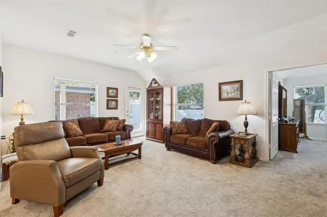 a view of a yard with plants and a large tree