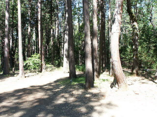 7808 Eastmoore Road Shingletown, CA 96088 - Photo 4 of 8 Land