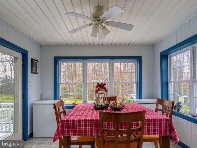 a view of a garden with a tree