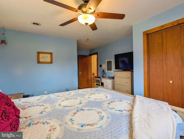 a view of a park with large trees