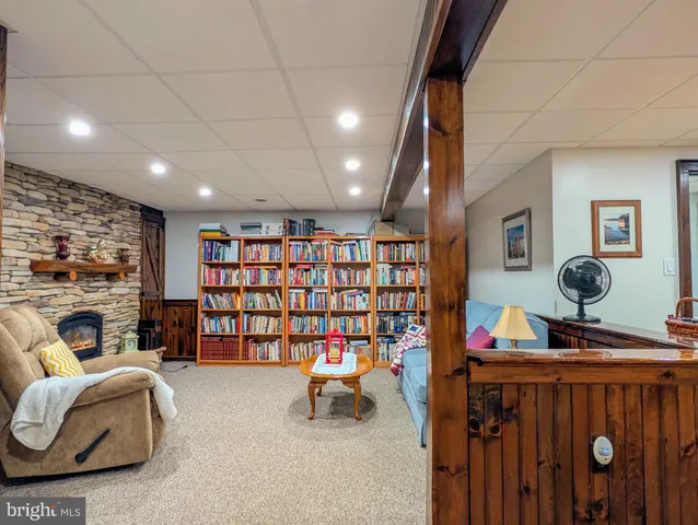 a view of a yard with a trees