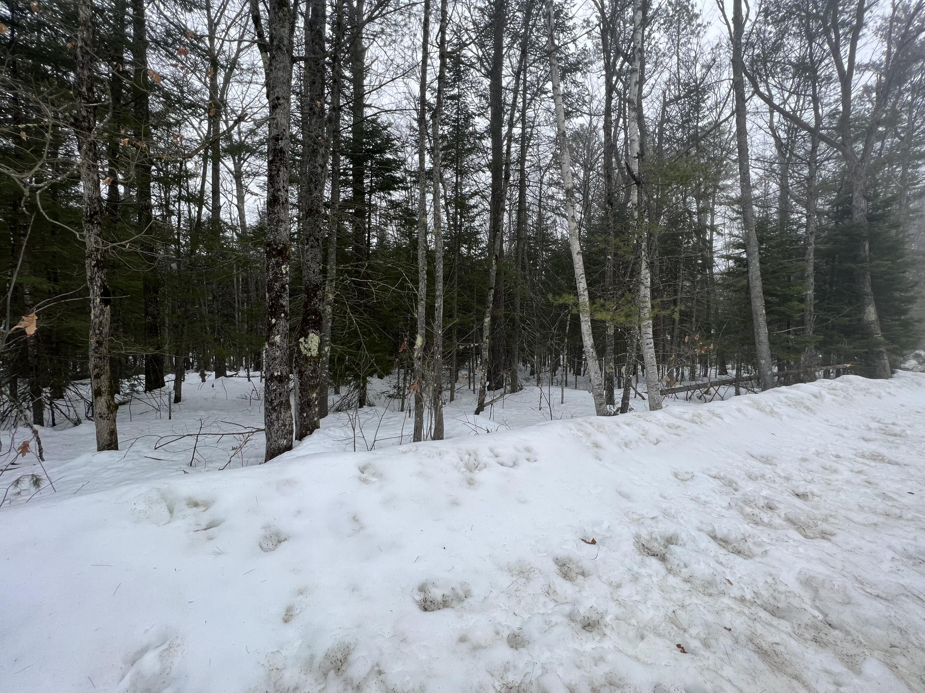 35 Norton Ridge Road Shapleigh, ME 04076 - Photo 4 of 7 IMG_4129