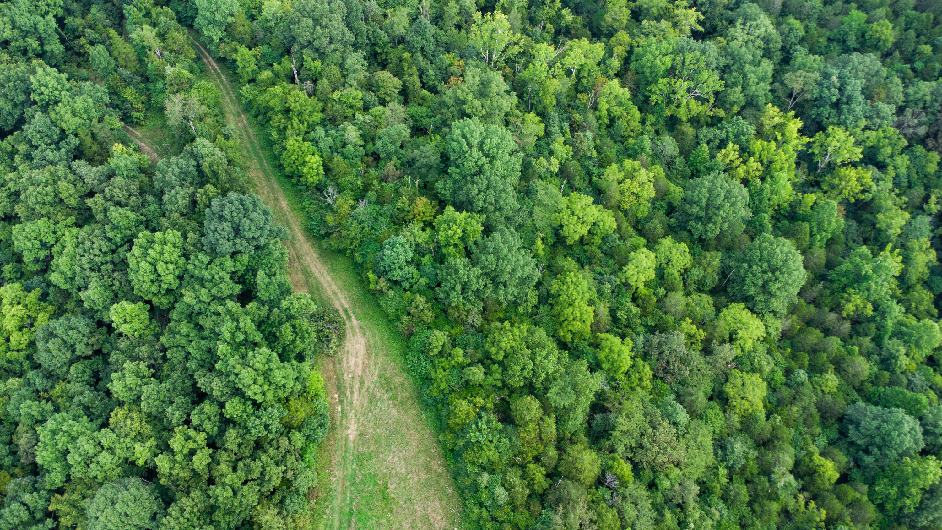 4095 Warsaw Road Dry Ridge, KY 41035 - Photo 13 of 48