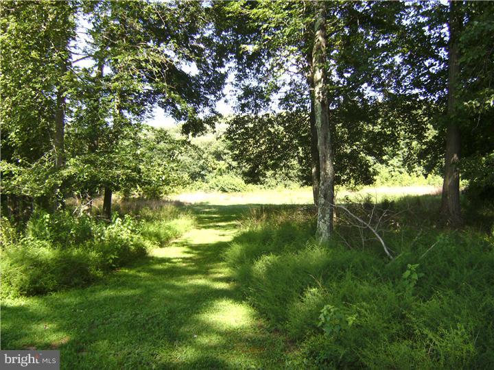 127 Upper Neck Road Elmer, NJ 08318 - Photo 22 of 25 Back Yard