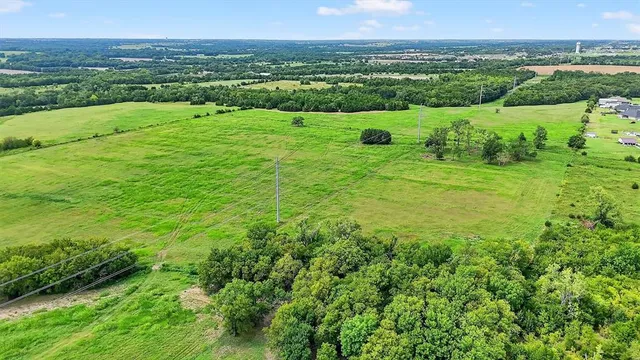a view of a city with lush green forest