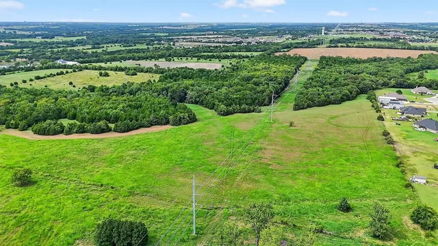 an aerial view of green landscape with trees houses and mountain view