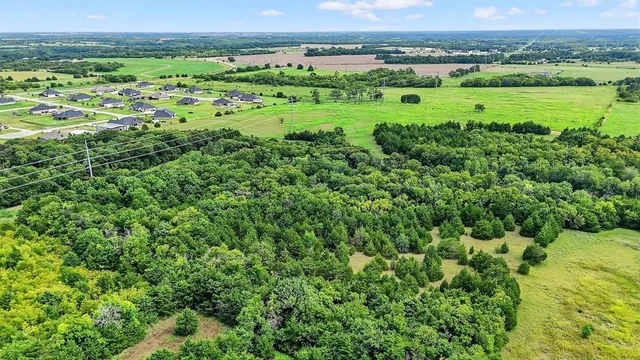 an aerial view of green landscape with trees all around