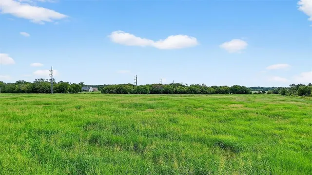 a view of a green field