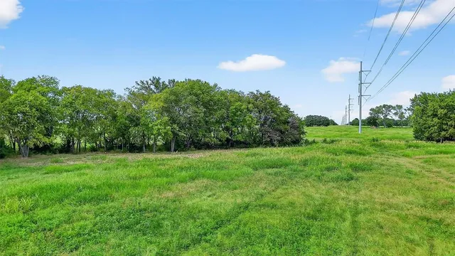 a view of a green field