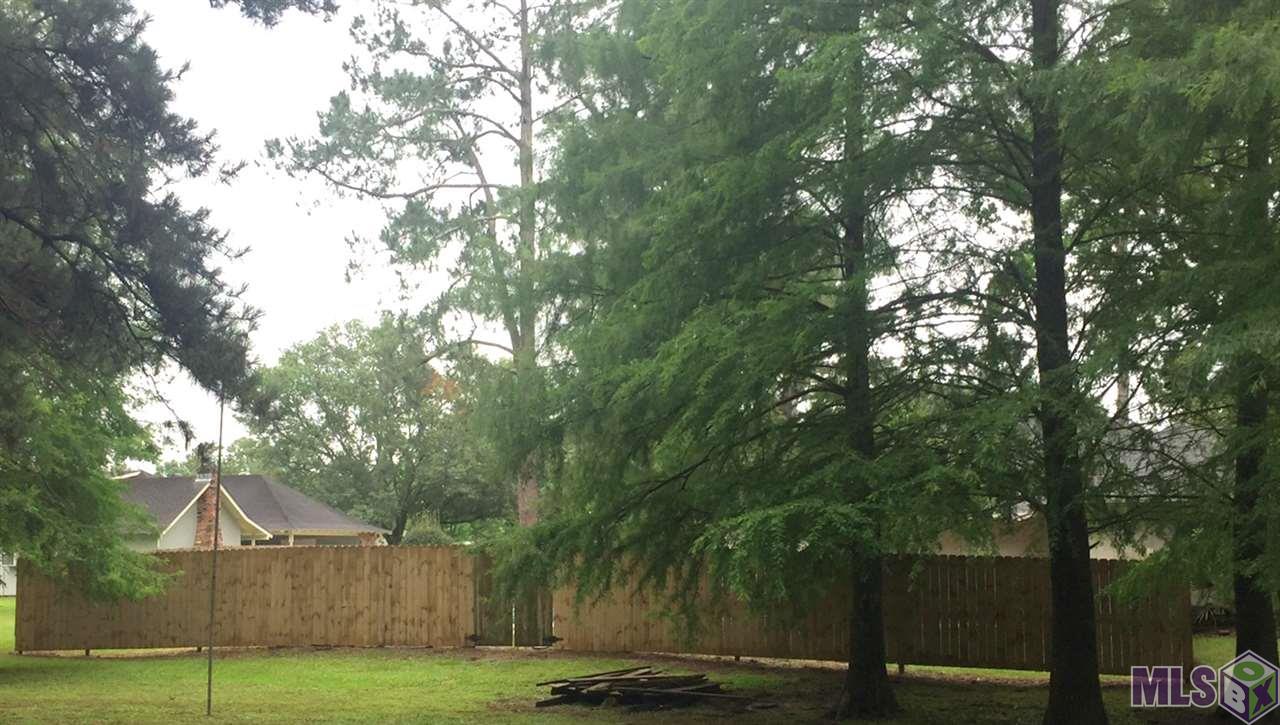 6919 Springwood Boulevard Denham Springs, LA 70726 - Photo 9 of 47