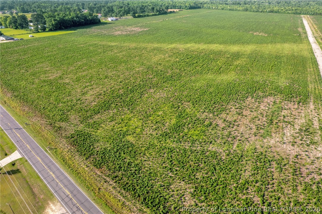 0 Old Wire (lot 11) Road Shannon, NC 28386 - Photo 7 of 17