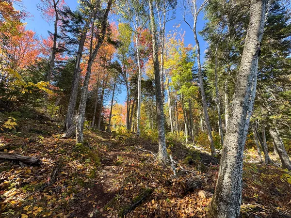 $399,000 | 01 St Attean Twp Me 04945, Jackman, ME 04945