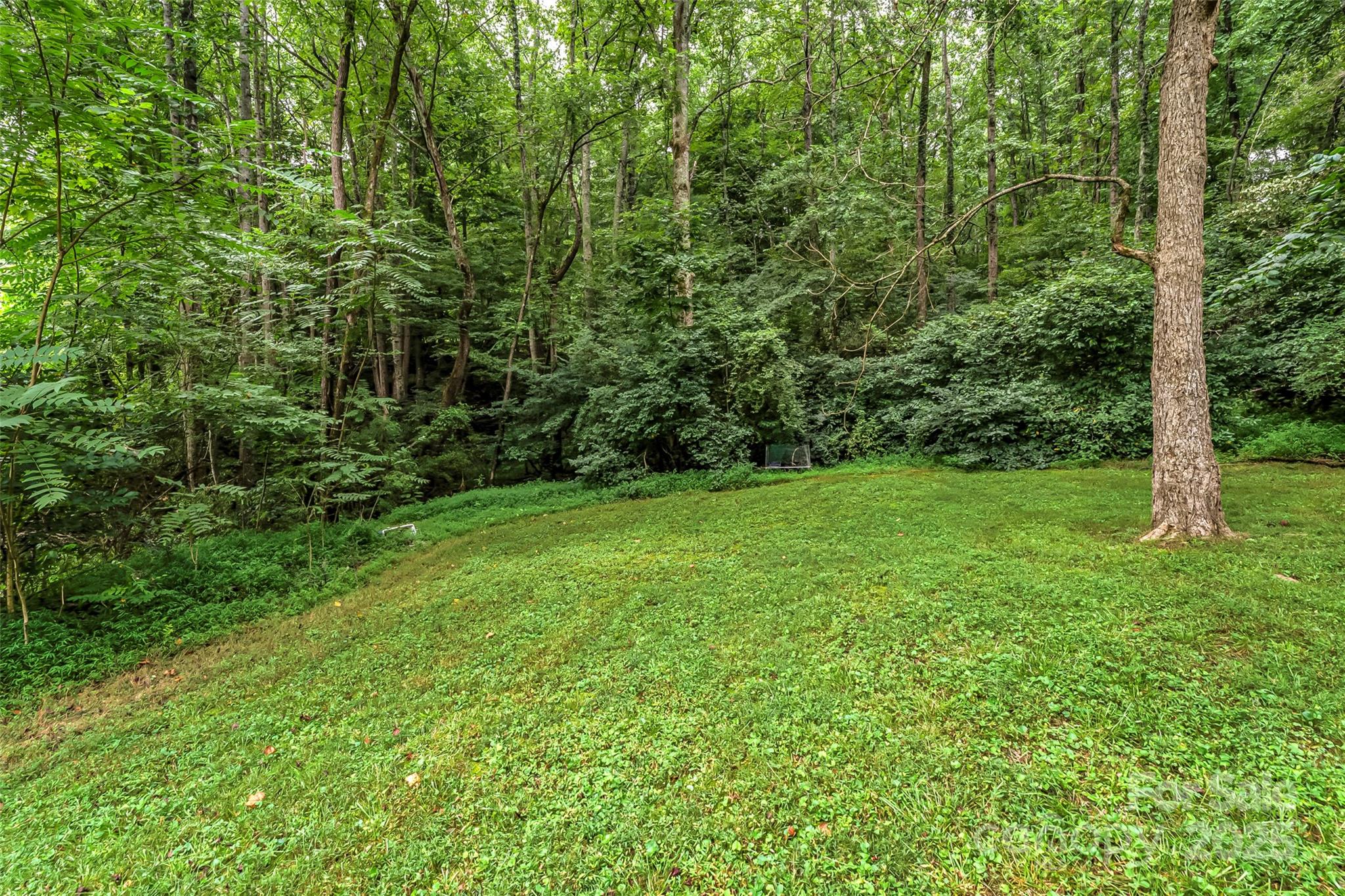 5526 Harris Farm Road Hickory, NC 28602 - Photo 13 of 18 a view of a trees with a yard