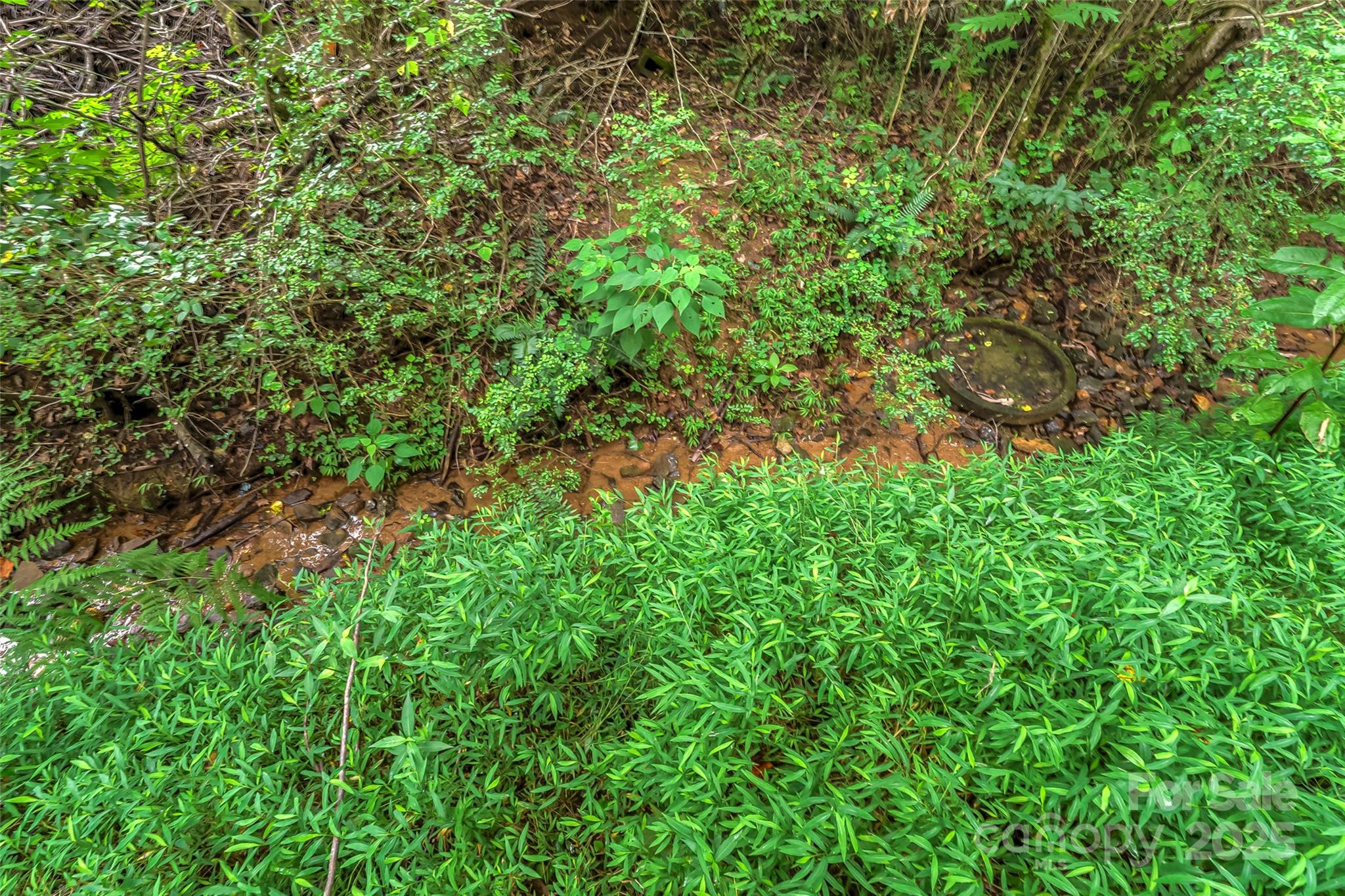 5526 Harris Farm Road Hickory, NC 28602 - Photo 14 of 18 a view of a lush green forest