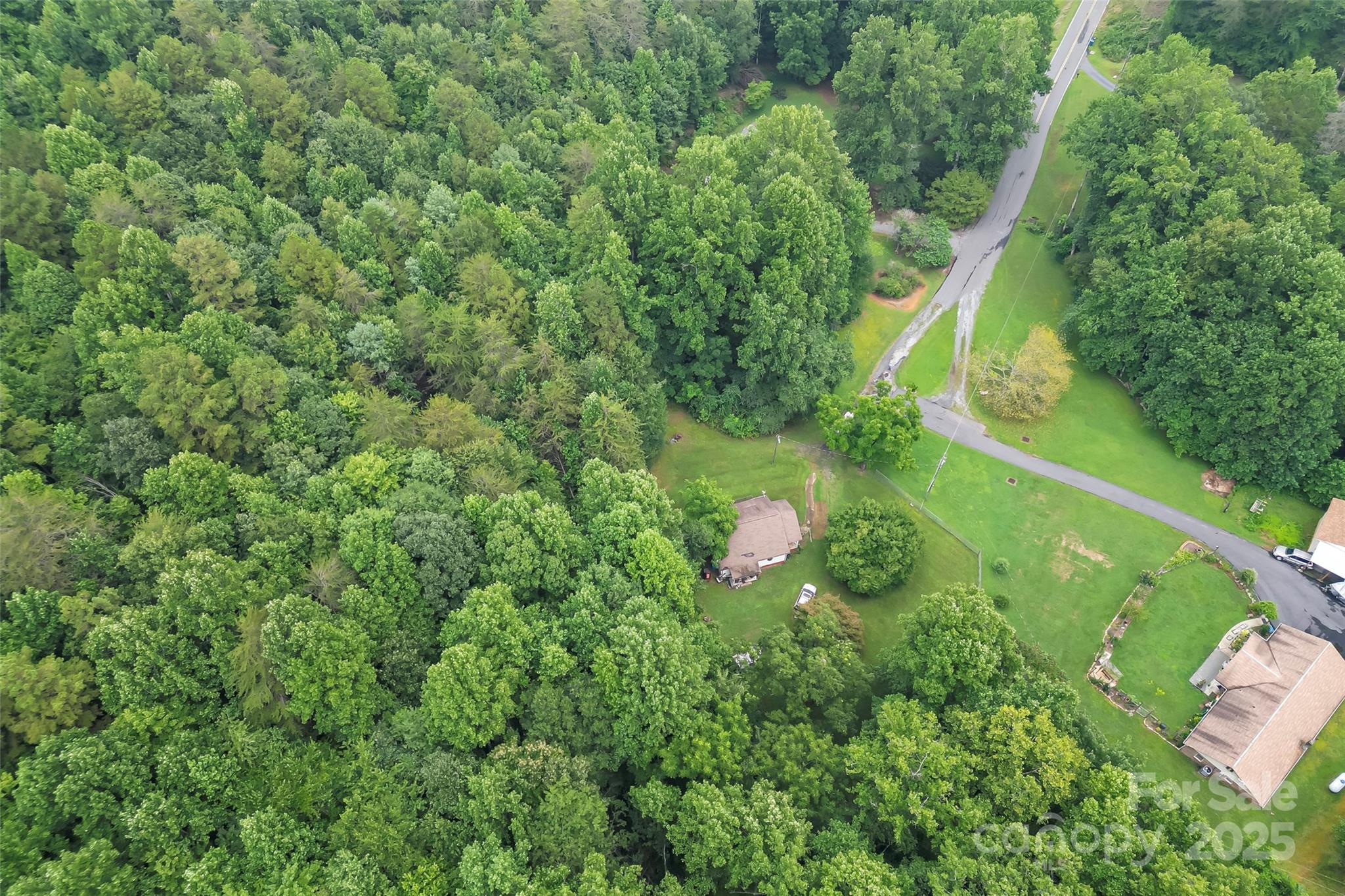 5526 Harris Farm Road Hickory, NC 28602 - Photo 3 of 18 a view of a yard with a tree