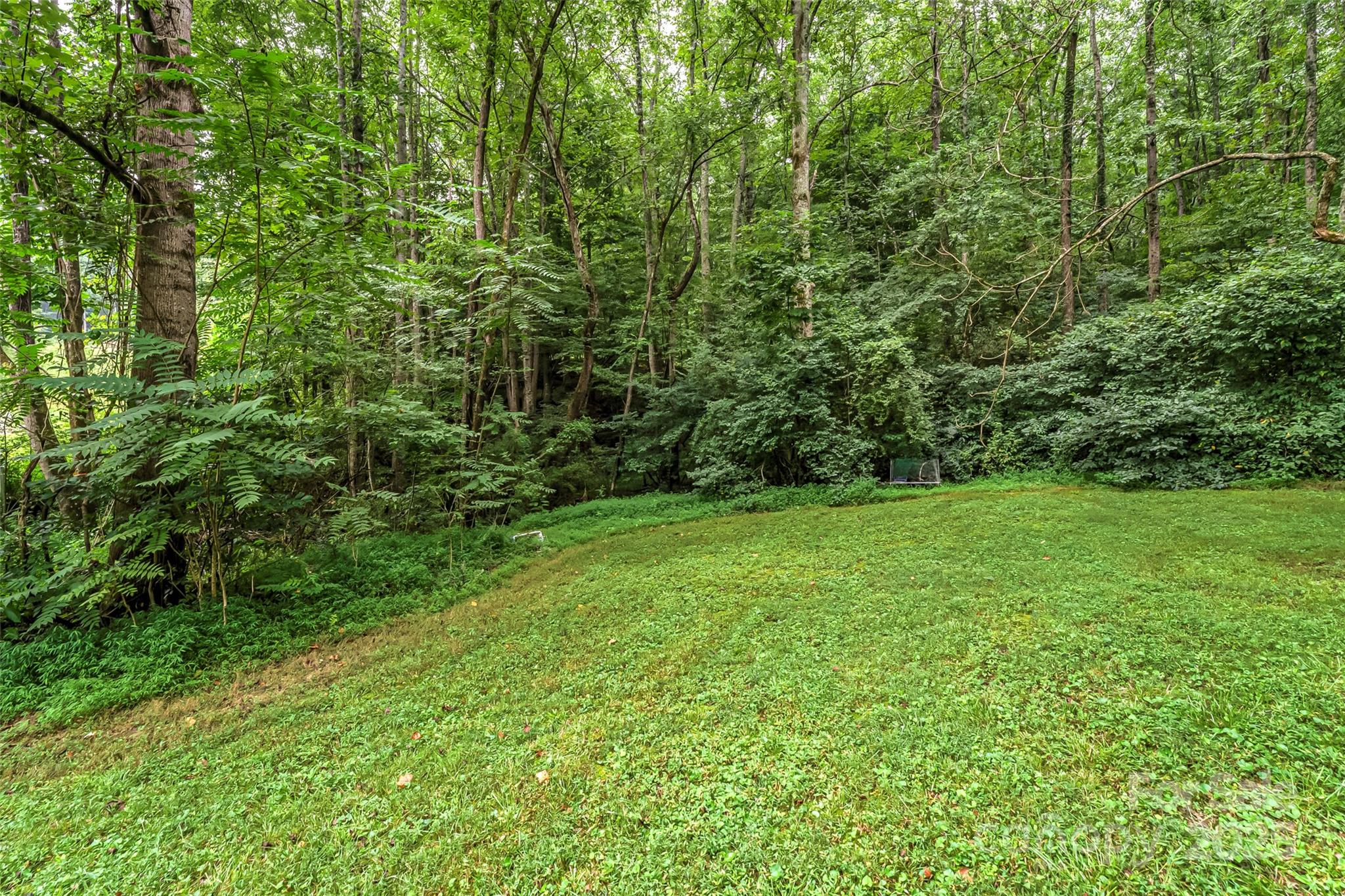 5526 Harris Farm Road Hickory, NC 28602 - Photo 9 of 18 a view of yard with green space