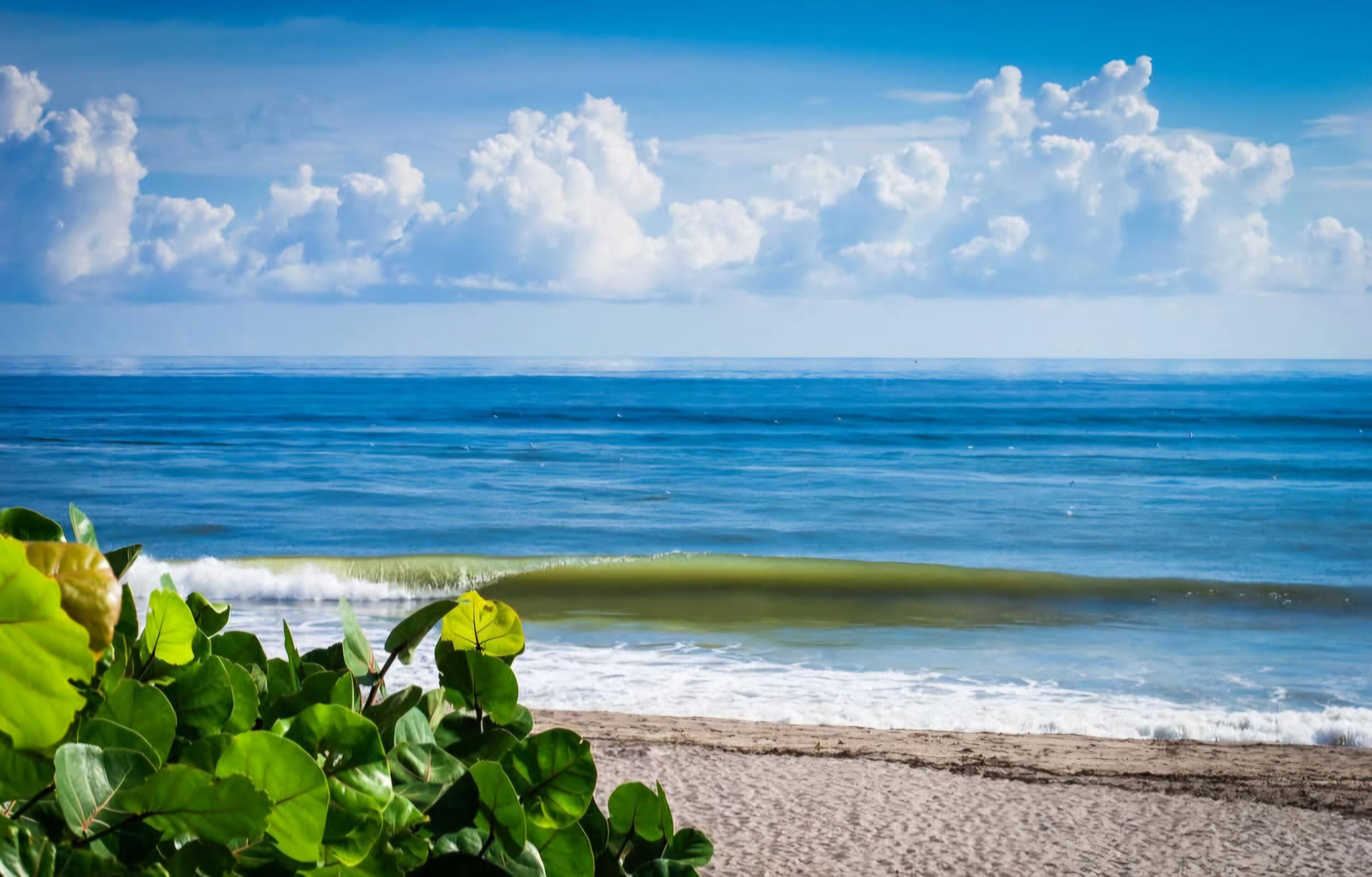 353 Highway 1, Unit D409 Jupiter, FL 33477 - Photo 32 of 41 Jupiter Beach minutes away
