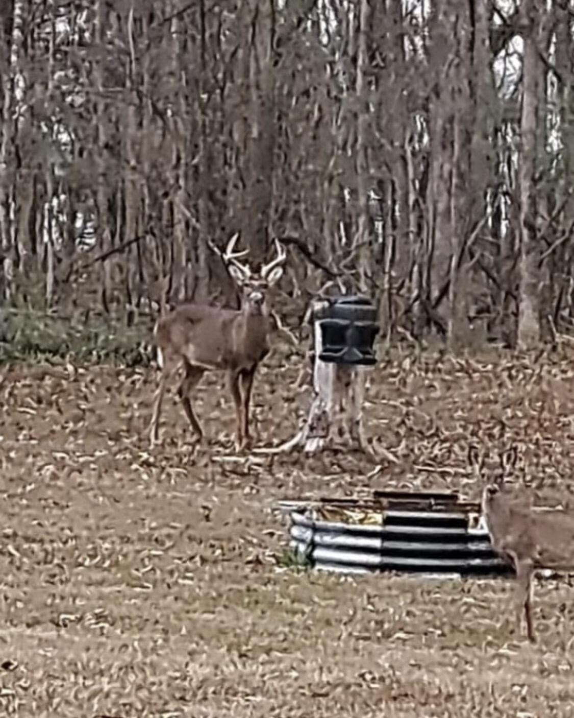 1509 McCallie Ferry Road Soddy Daisy, TN 37379 - Photo 28 of 30 IMG_7681