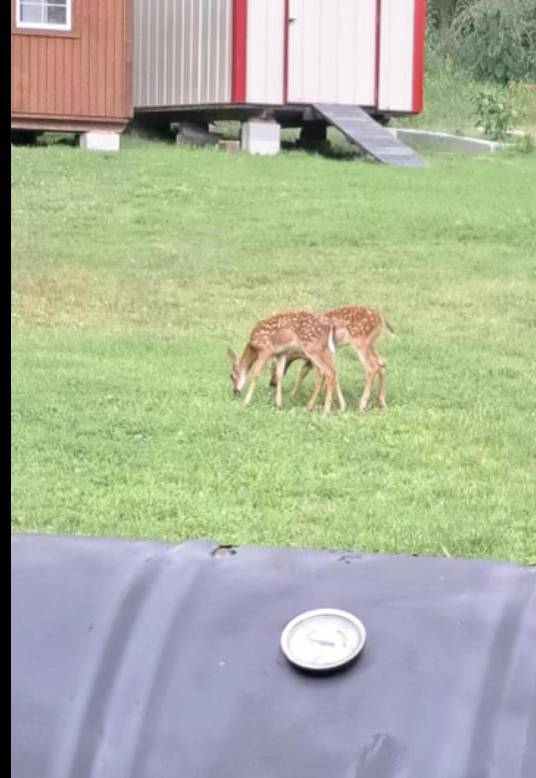1509 McCallie Ferry Road Soddy Daisy, TN 37379 - Photo 29 of 30 IMG_7682