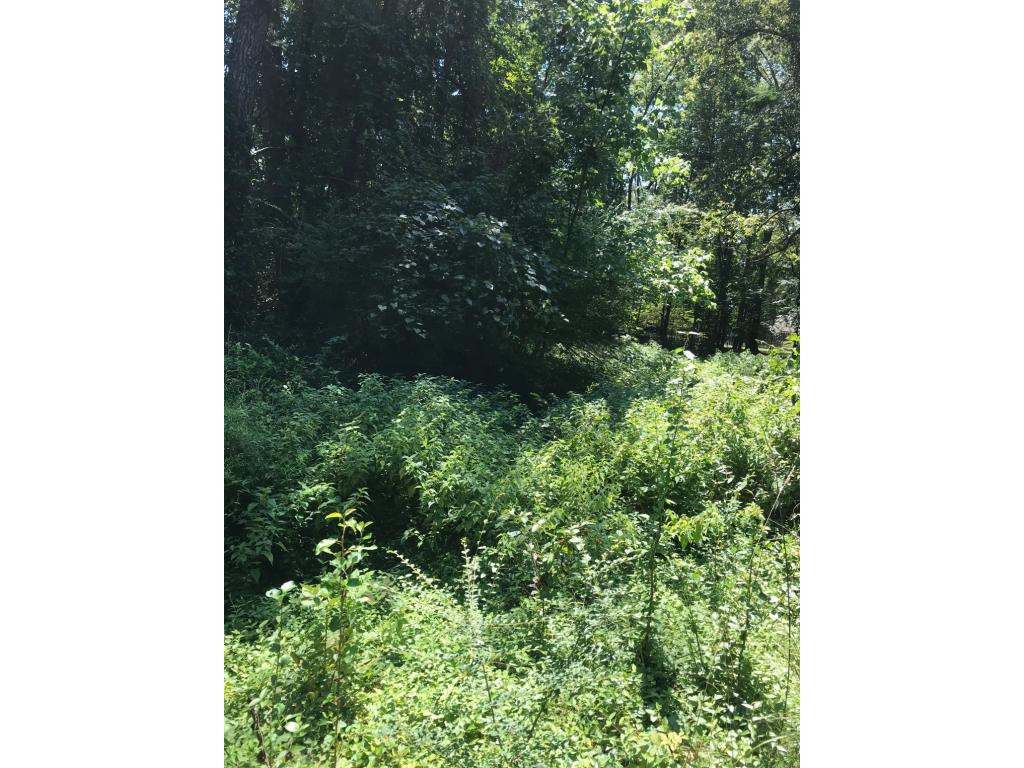 155 Snyder Road Johnson City, TN 37615 - Photo 1 of 4 Photo 1