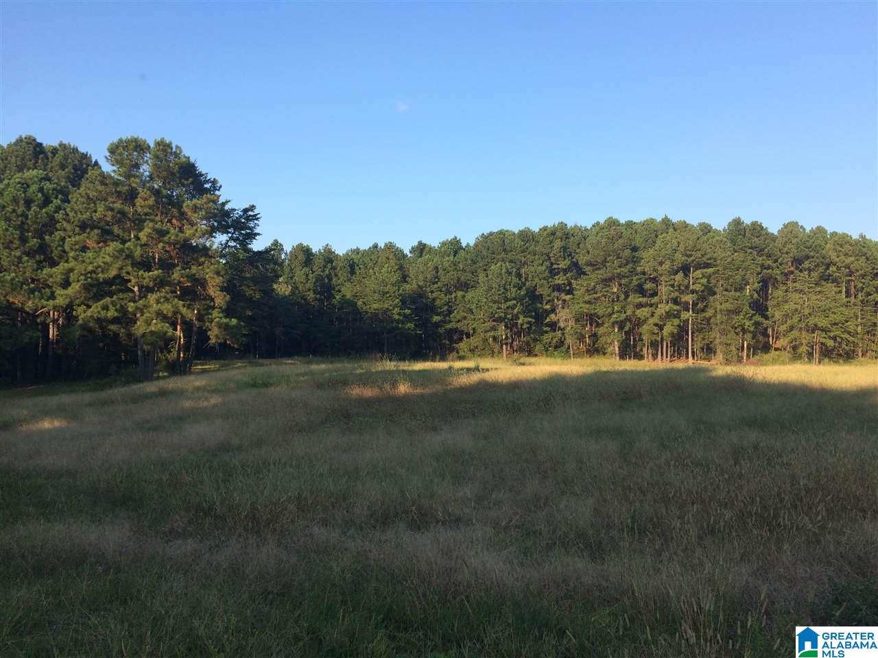 17999 Groundhog Road, Unit 40 Adger, AL 35006 - Photo 3 of 10