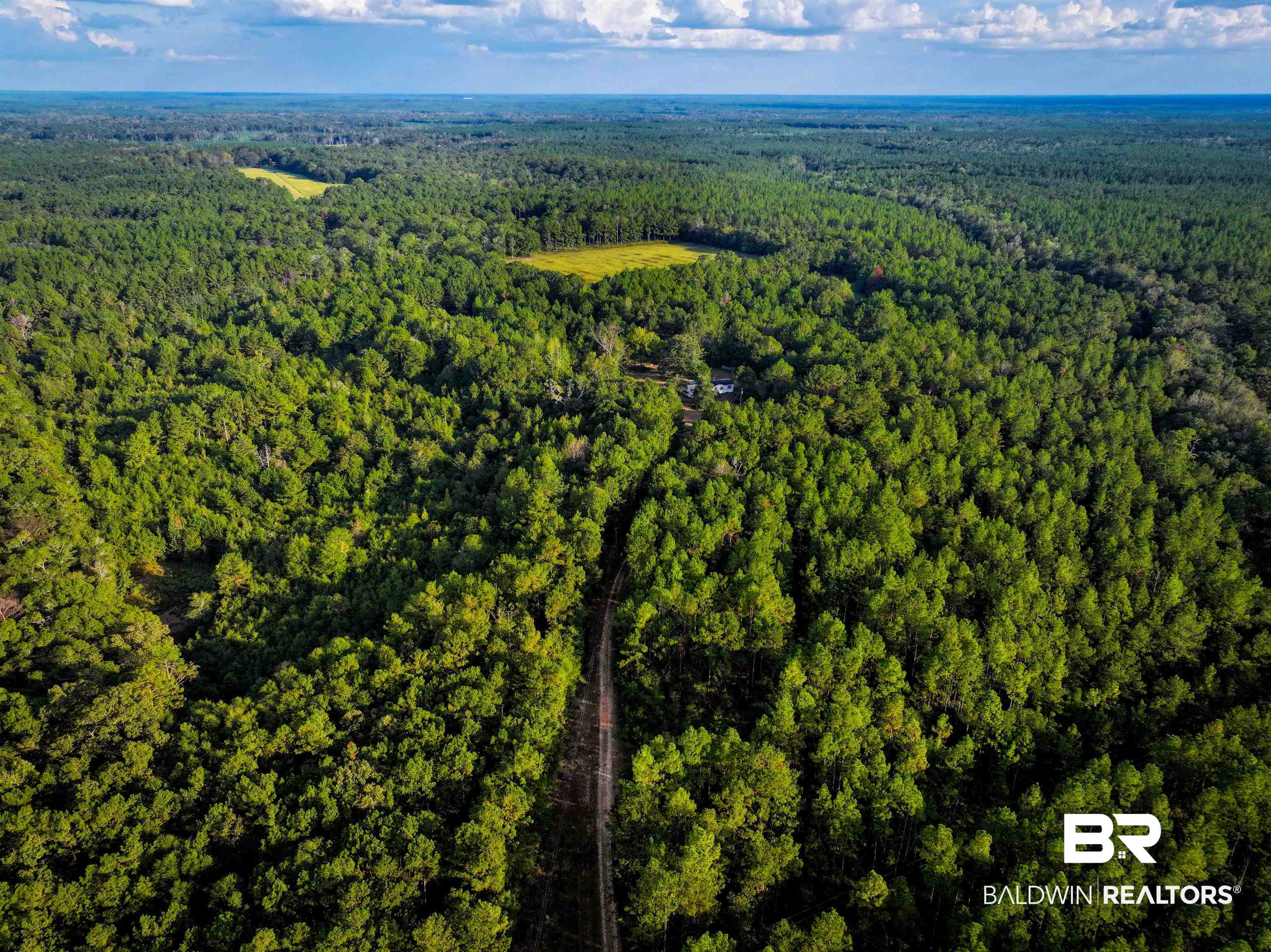 3346 Hoomesville Road Brewton, AL 36426 - Photo 2 of 16 Aerial overview of property's location with a forest