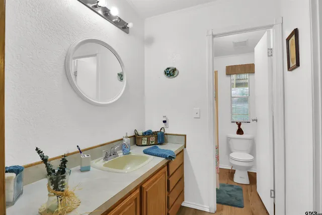a bathroom with a granite countertop sink a toilet and a mirror