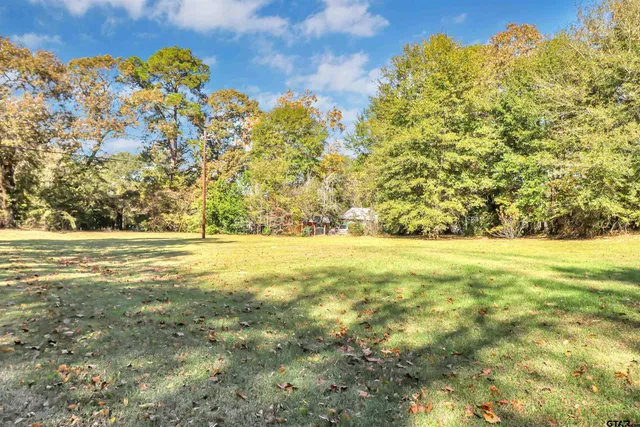 a view of yard with large trees