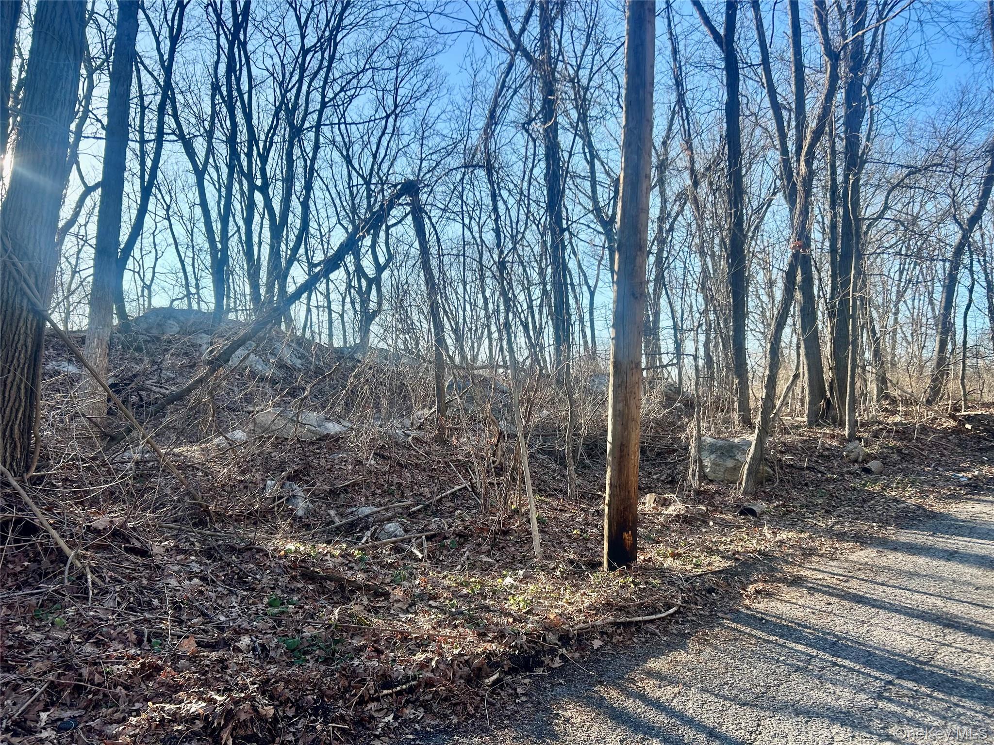 Hillside Road Carmel, NY 10512 - Photo 3 of 9 a backyard of a house with lots of green space