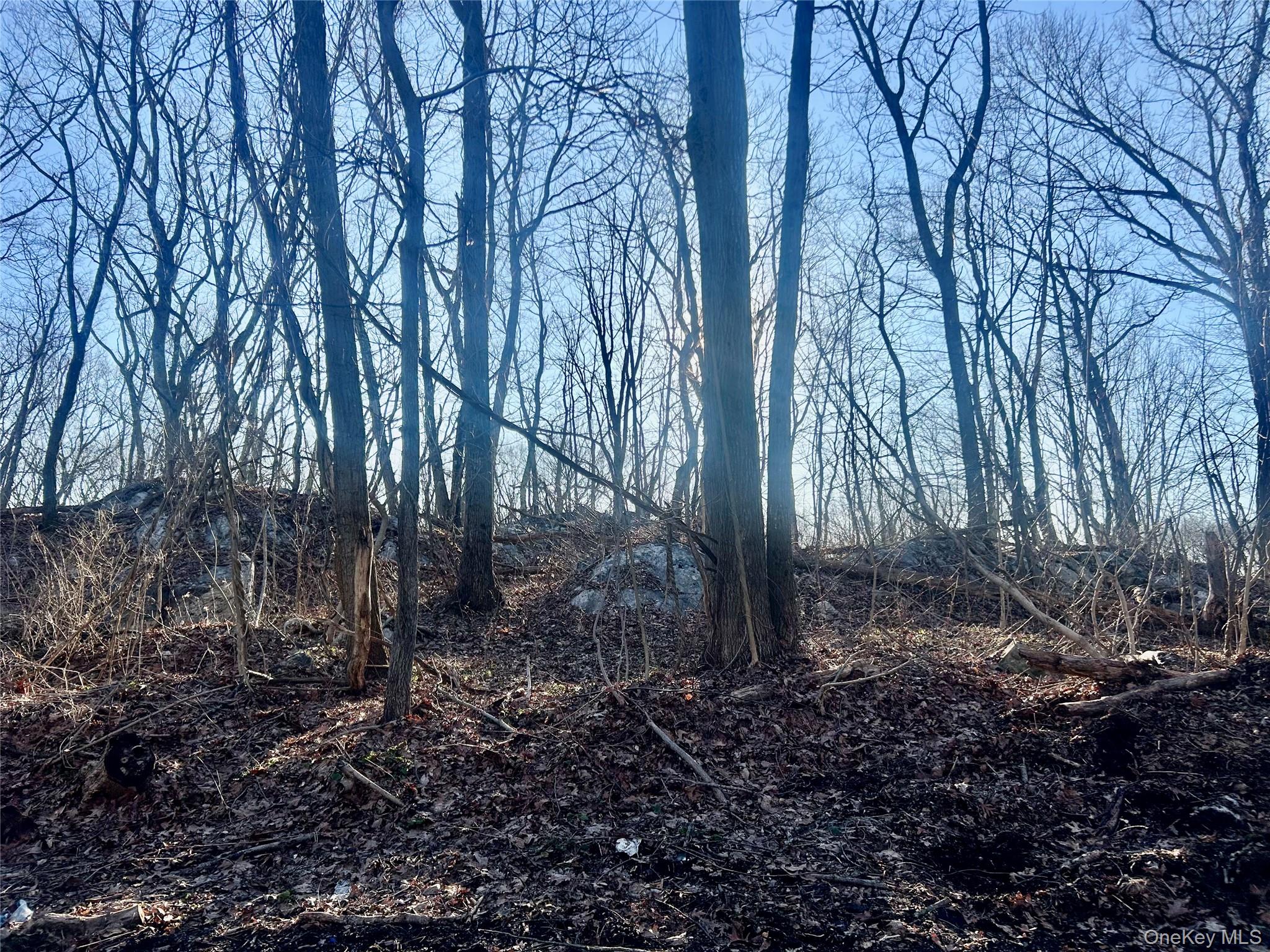 Hillside Road Carmel, NY 10512 - Photo 6 of 9