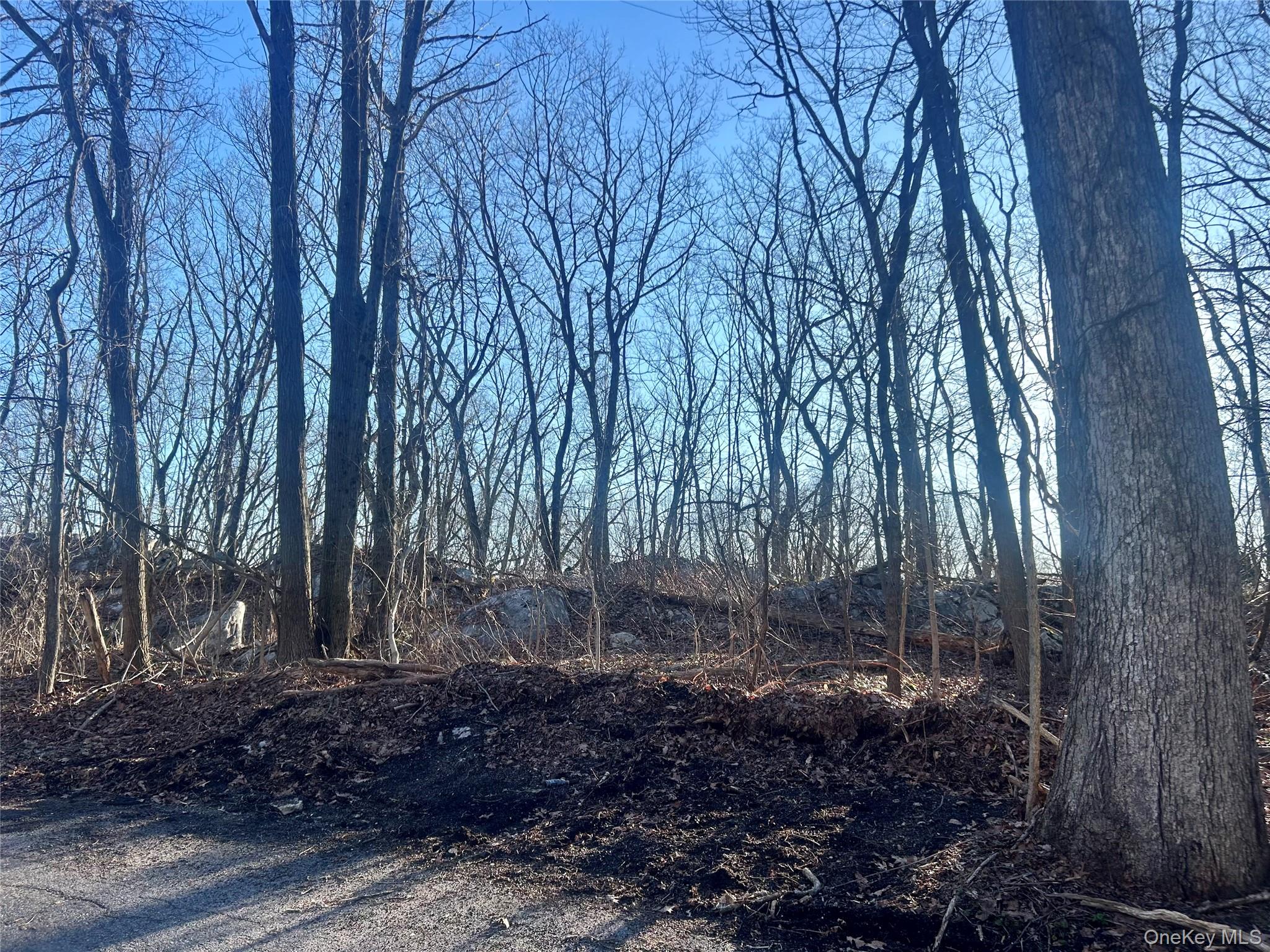Hillside Road Carmel, NY 10512 - Photo 7 of 9 a view of backyard with green space
