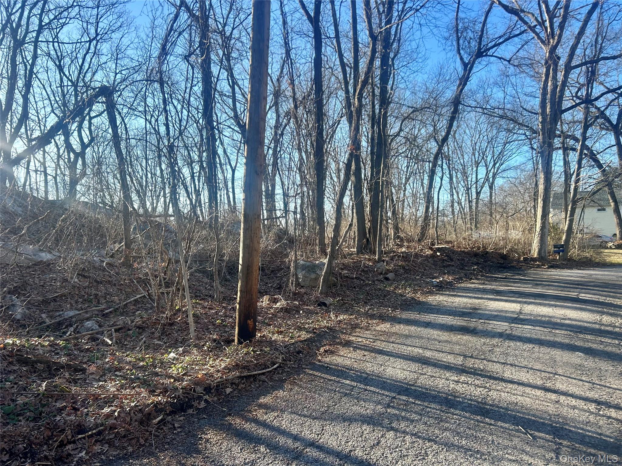 Hillside Road Carmel, NY 10512 - Photo 9 of 9 a view of a yard with large trees