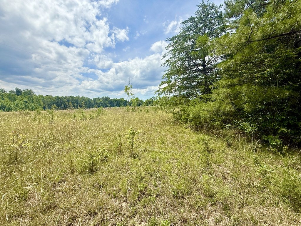 Whispering Wood Road, Unit 25 Meherrin, VA 23954 - Photo 4 of 13 Gallery Image 4