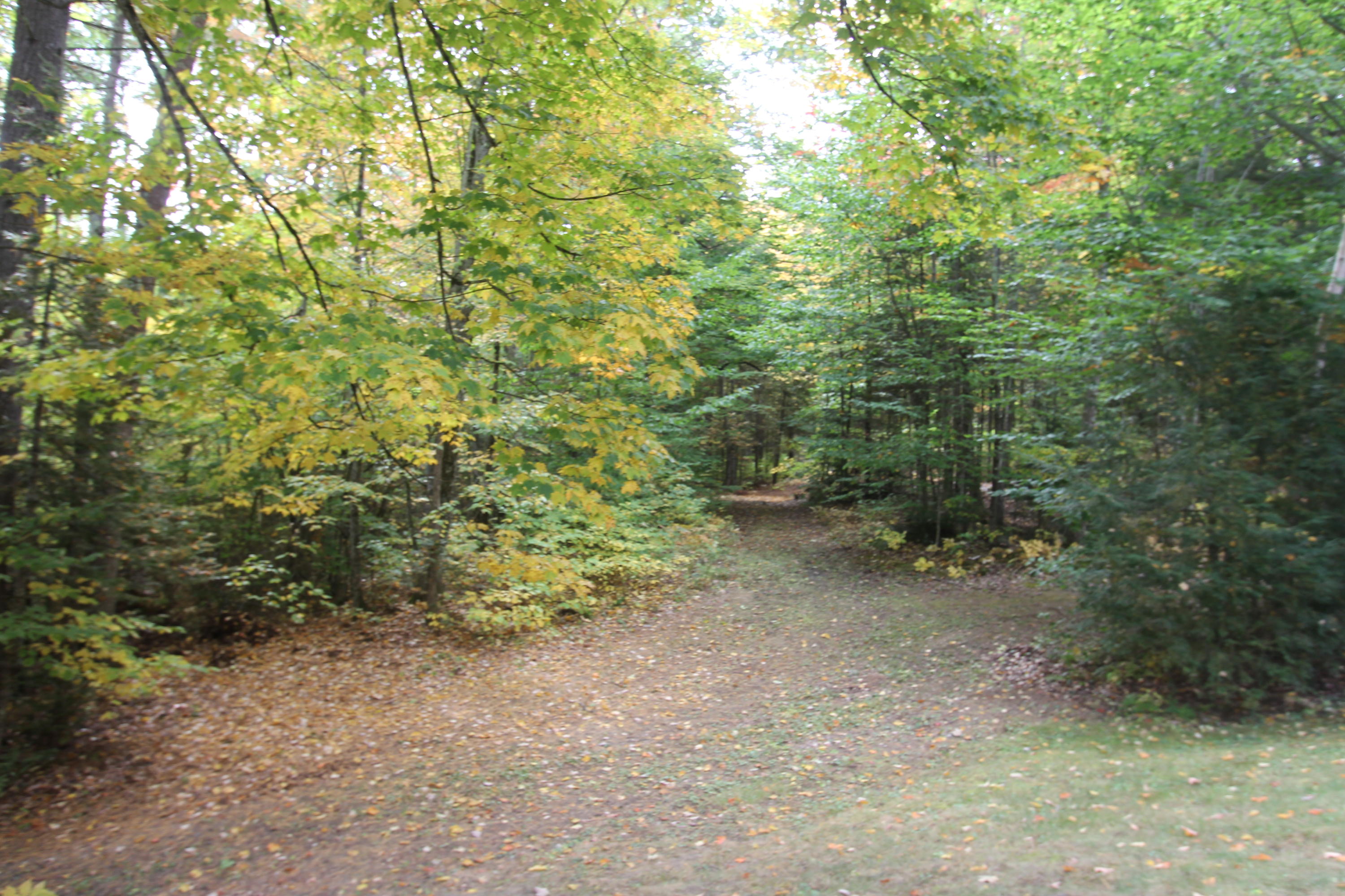 47 Wilkins Road Greene, ME 04236 - Photo 64 of 69 IMG_9945
