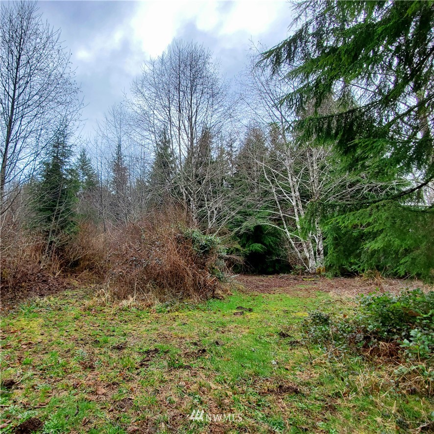 325 Bowes Road Hoquiam, WA 98550 - Photo 23 of 24 Gallery Image 23