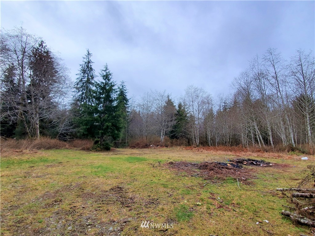 325 Bowes Road Hoquiam, WA 98550 - Photo 24 of 24 Gallery Image 24