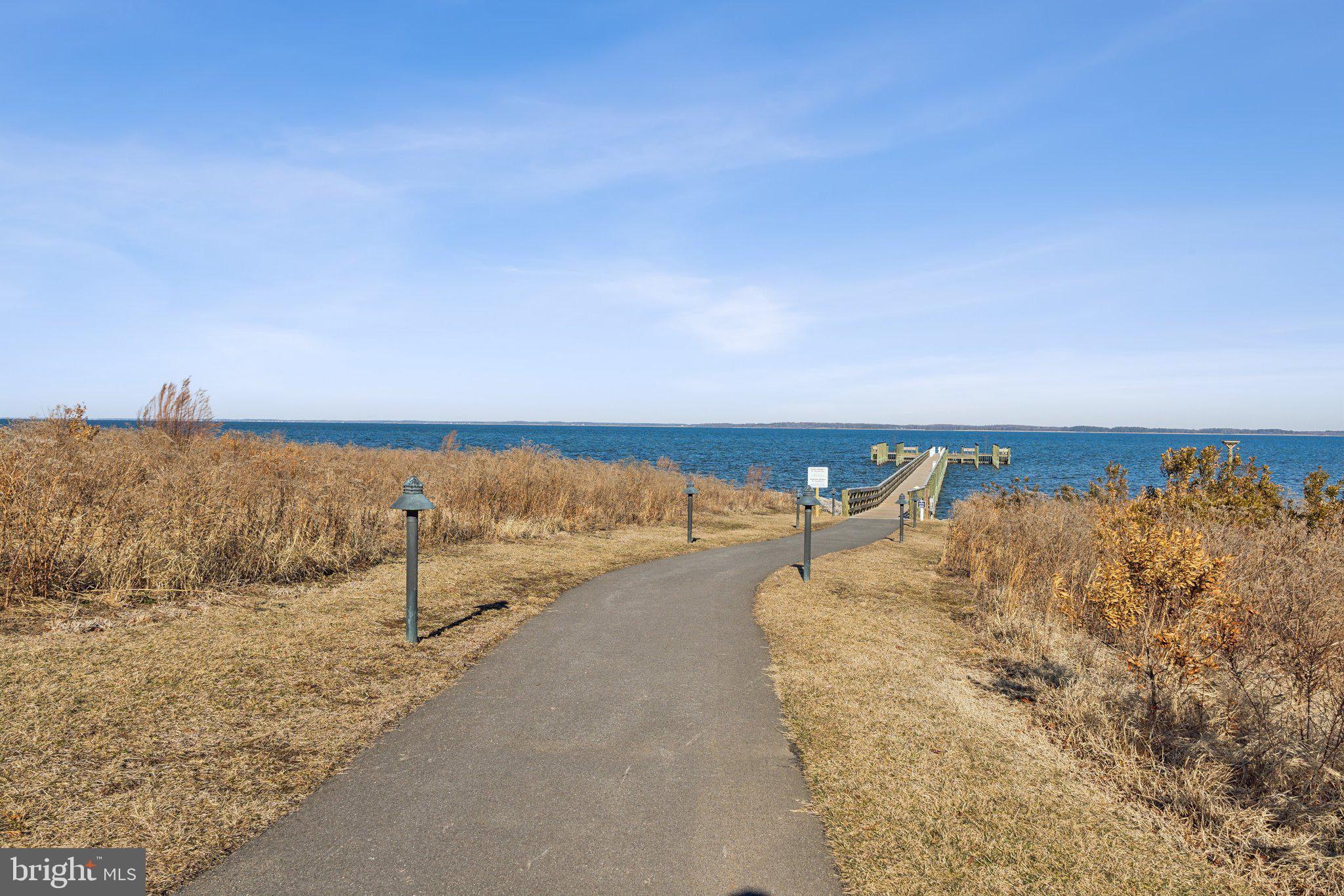 111 Marshgrass Way, Unit 22 Chester, MD 21619 - Photo 101 of 102