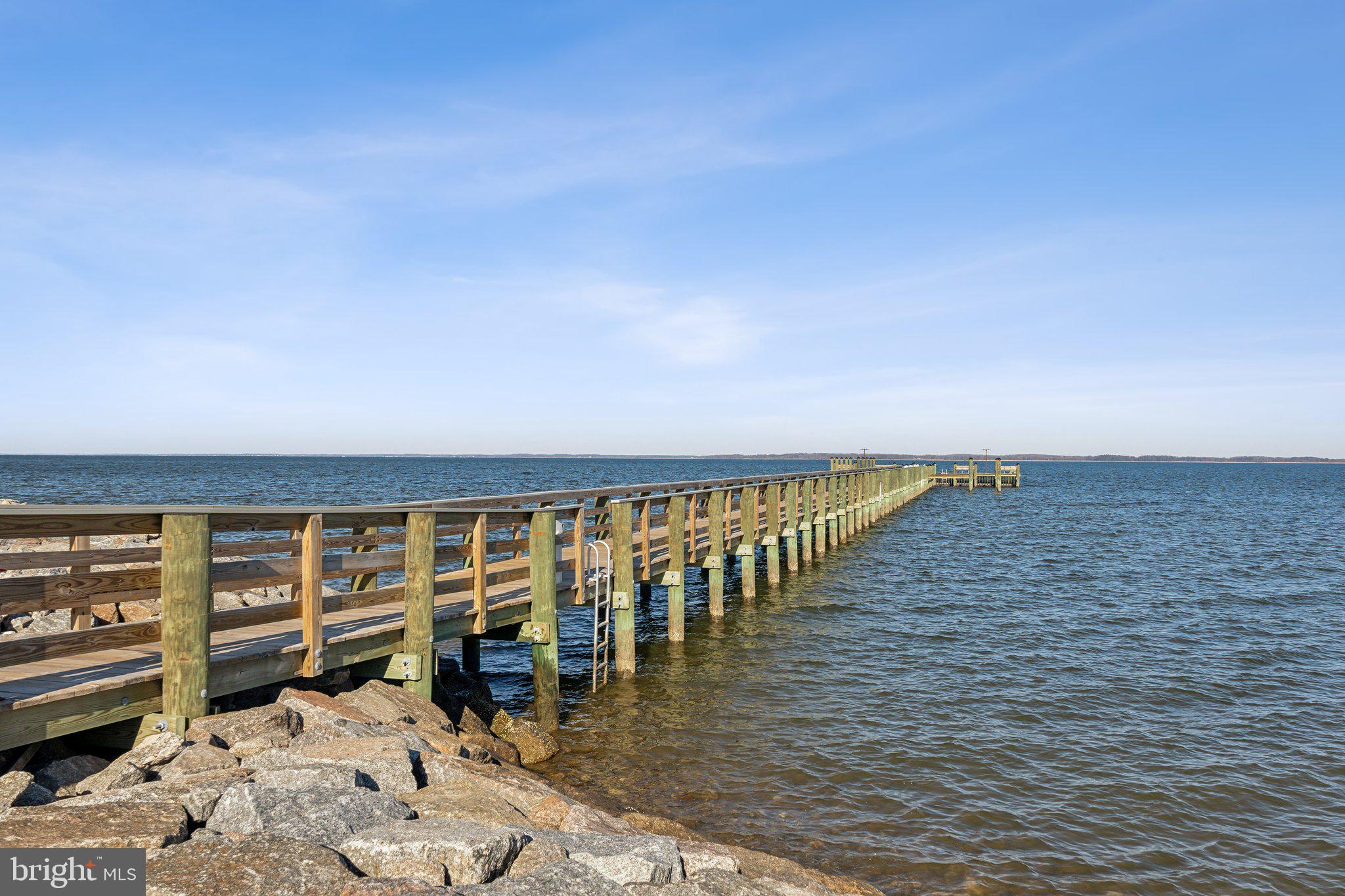 111 Marshgrass Way, Unit 22 Chester, MD 21619 - Photo 96 of 100