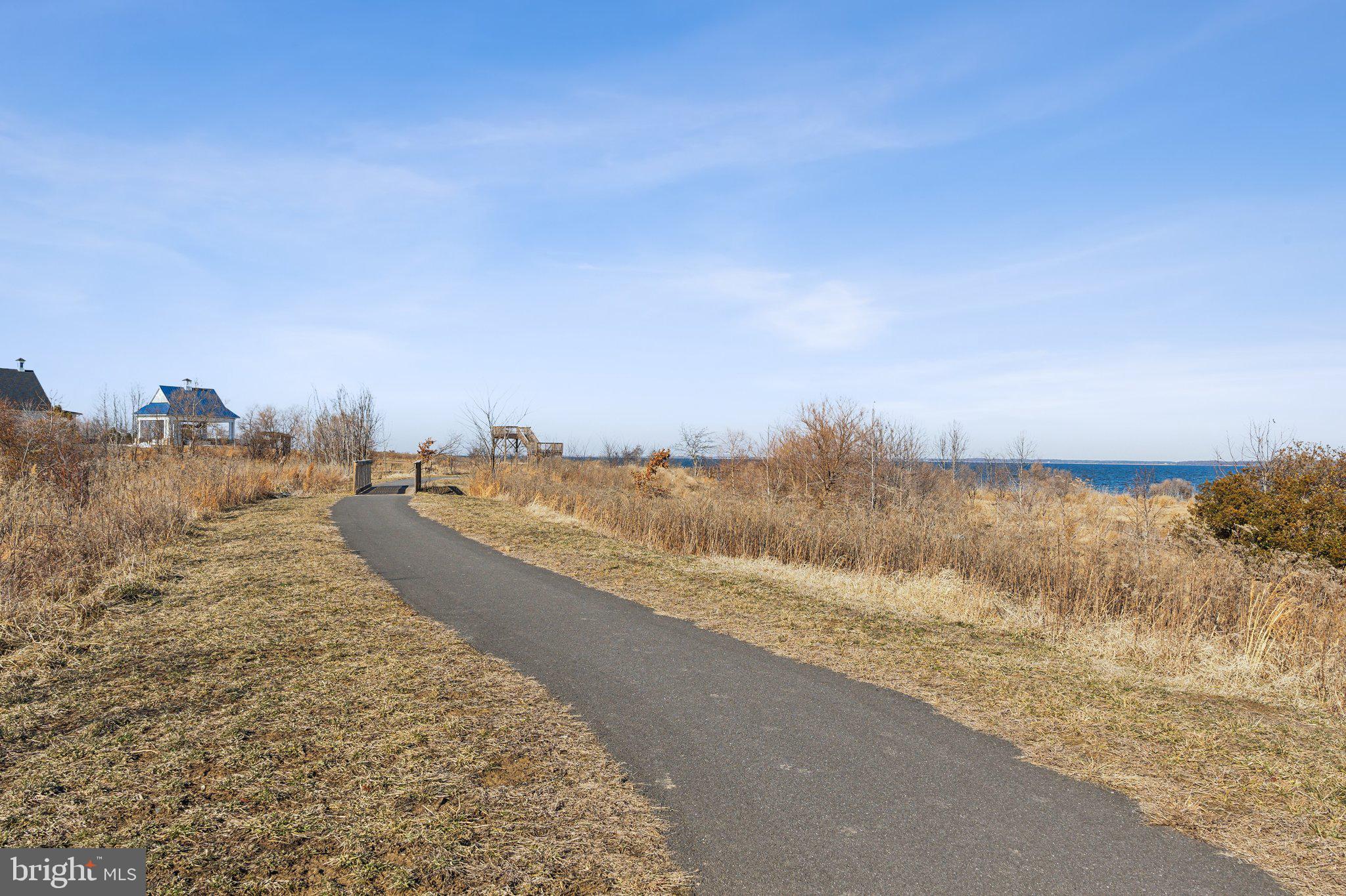 111 Marshgrass Way, Unit 22 Chester, MD 21619 - Photo 97 of 102