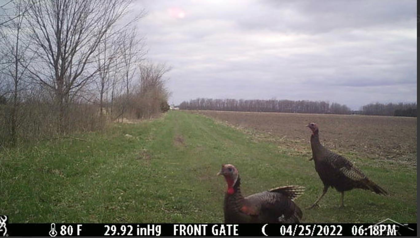 2451 South Block Road Frankenmuth, MI 48734 - Photo 34 of 40 50093039-33.JPG